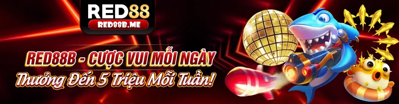 Người dùng trải nghiệm các tính năng của ứng dụng appn188